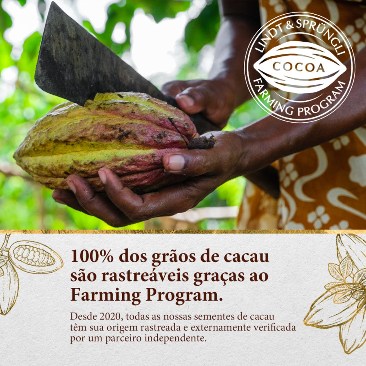 ちょこ Chocolate Meio Amargo 52% Cacau Lindt Classic Cartucho 90g | Pão